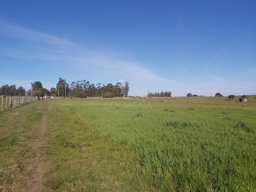 Imagen 19 de 19 de Venta Chacra Ruta 39 , 8 Has - Maldonado Ruta 39