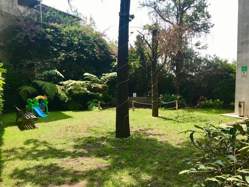 Imagen 11 de 14 de Departamento En Renta, Álvaro Obregón, Ciudad De México