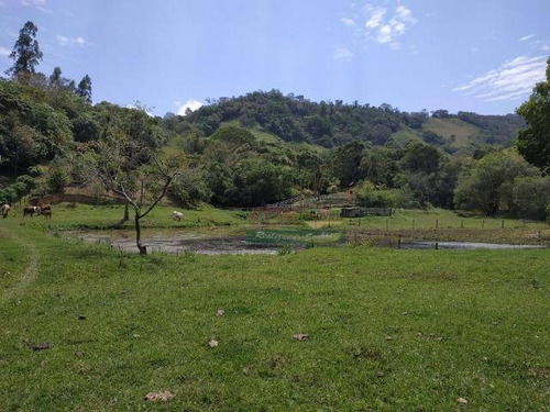 Imagem 5 de 5 de Sítio À Venda, 29000 M² Por R$ 500.000,00 - Borda Do Campo - Cunha/sp - Si0020