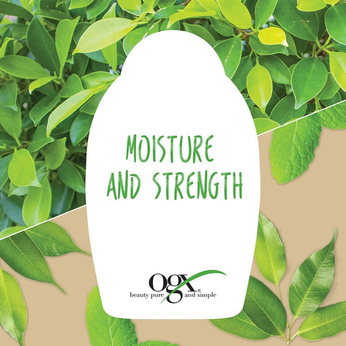 Ogx Hidratante + Árbol De Té De Menta Champú, 13 Onza