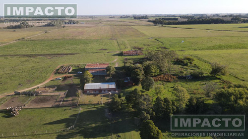 En Venta Campo Lobos, Buenos Aires 155has Campo Mixto Ganadería Agricultura