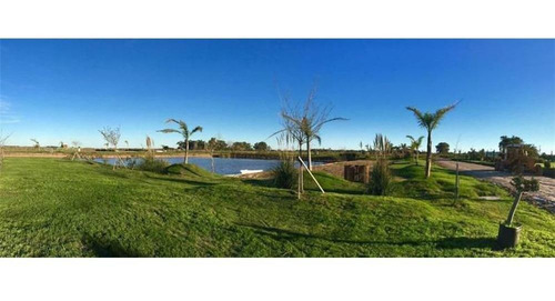 Lote N° 5 En Venta. Campos De La Enriqueta