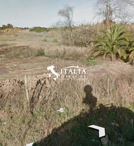Complejo Deportivo Terreno Carrasco 4 Hectareas
