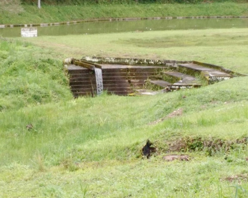 Imagem 8 de 13 de Sitio Em Juquitiba, Sitio À Venda Em Juquitiba - 09 - 32982811