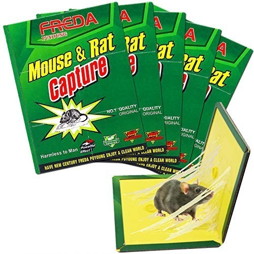 Trampa Adhesiva Grande Pegamento Mata Rata Raton Laucha X1