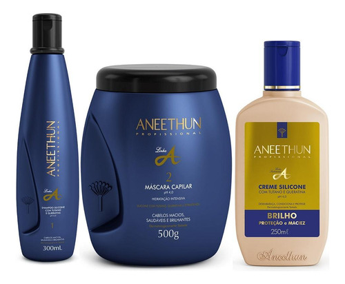 Aneethun Linha A Kit Com 3 Produtos