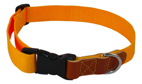 Collar Para Perro Gossët Kit Clasico Con Correa