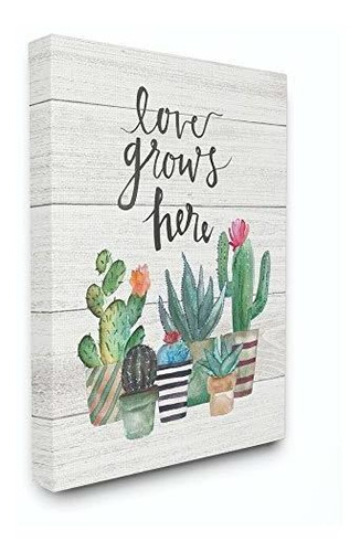 Stupell Industries Love Grows Here Cactus Suculentas Acuarel