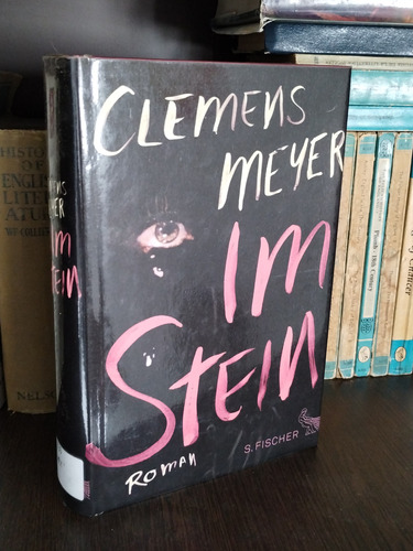 Clemens Meyer - Im Stein (roman) - S. Fischer 