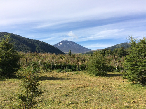 Terreno De Excelente Plusvalía - A 2,3 Km De Malalcahuello