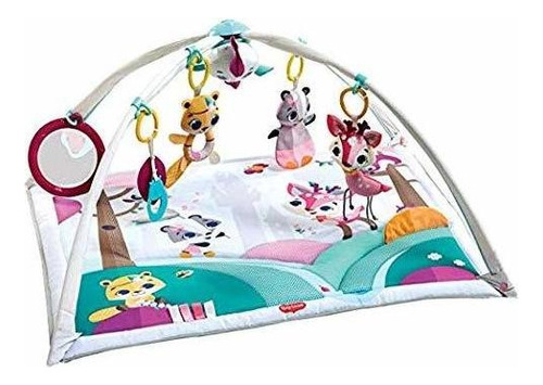 Tiny Love Gymini Deluxe Infant Activity Gym Play Mat, Ti