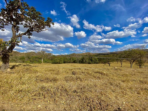 Imagem 16 de 26 de Fercal, Sobradinho Chácara Com Mais De 92 Hectares, Sendo 1.000m² De Área Útil, São 3 Quartos, Curral, Açude E Muito Mais! Estuda Permuta. - Villa129695