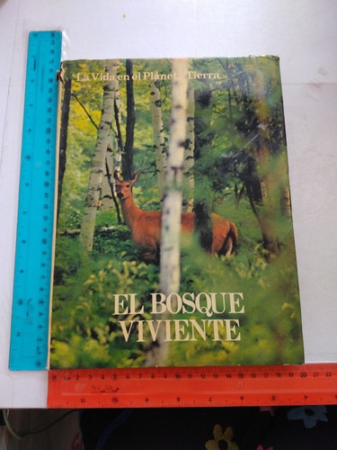 El Bosque Viviente Michael Boorer Montaner Y Simon Editores