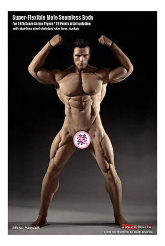 Jj Modelo De Cuerpo Musculoso Tbleague Phicen De Hombre 1/6