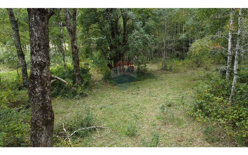 Plot In Pucón, Los Riscos Safe Investment