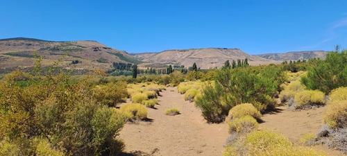 Venta Campo Aluminé