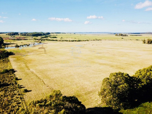Imagen 4 de 13 de Campo De 20 Has Muy Cerca Del Faro Jose Ignacio - Consulte !!!!!! - Jose Ignacio