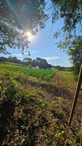 Terreno 500m² Com Casa Em Construção - Próximo Bunjiro Nakao (km 57)