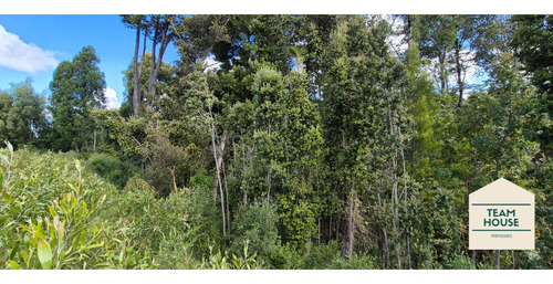 Parcela Condomio Los Aromos (torobayo) Valdivia