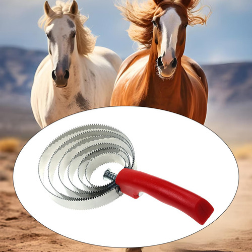 Cepillo De Pelo De Caballo Con Peine De Metal Y Mango