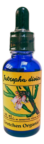 Drago Jatropha Dioica, Triple Extracto Orgánico Concentrado Natural