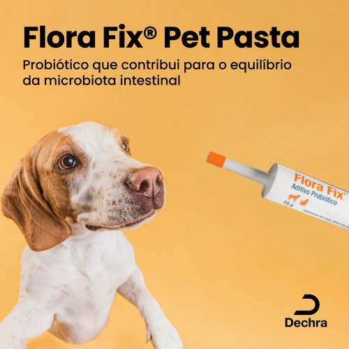Flora Fix Pet Pasta Probiótico E Prebiótico 15g Cães E Gatos