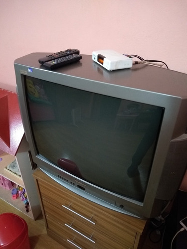 Televisor 29 Pulgadas Panasonic No Hago Envío