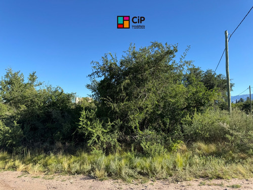 Venta De Lote Céntrico En Cortaderas