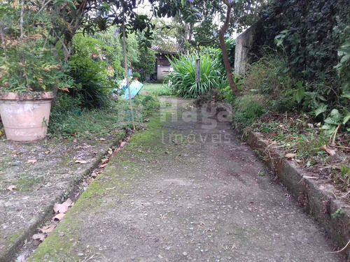 Imagem 6 de 6 de Casa À Venda Em Brusque/sc - 1769