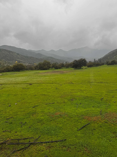Parcelas De Agrado 10000 M2 Curacavi Ruta 68 (176809)