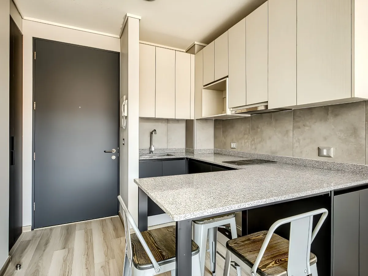 Imagen 2 de 22 de Arriendo De Departamento En Santiago. 1 Dormitorio, 1 Baño.
