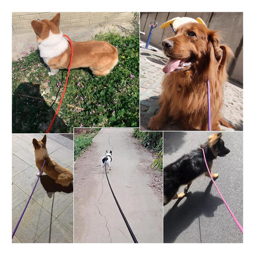 Yucforen Correa De Cuerda Para Atar Perros De 6 Pies, Correa