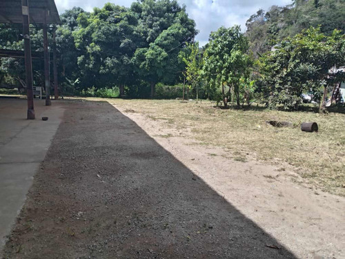 Vendo Amplio Galpón Industrial + Terreno, Mun. Sucre Xy23