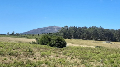 Chacra En Ruta Interbalnearia A 10 Minutos De La Playa.