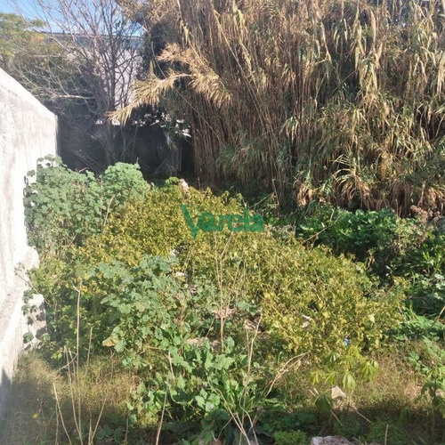 Imagen 10 de 10 de Casa En Venta Maroñas 3 Dorm 2 Baños Cochera X 2 Fondo Parrillero - Montevideo Maroñas