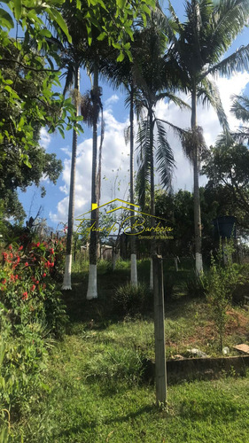 Imagem 14 de 30 de Chacara - Ch00042 - 70672339