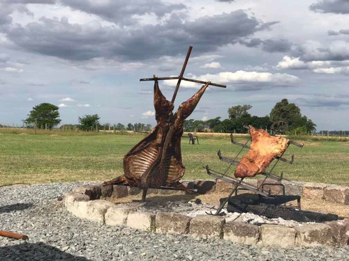 Imagen 13 de 14 de Chacra Casaquinta Campo Temporal Carmen De Areco Descanso