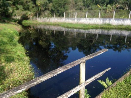 Imagem 23 de 24 de Chácara Em Itanhaém, No Balneário São Fernando, Com Lago, Casa De Caseiro E Churrasqueira, Ref: 2181/ac