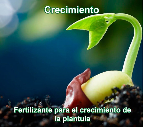 Fertilizante Para El Crecimiento De La Plantula 50 Gr (13 L)