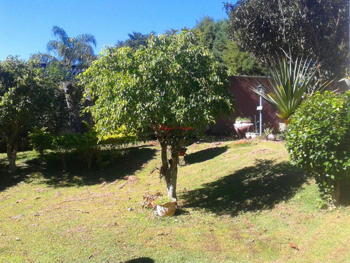 Chacara - Ch00023 - 34749972