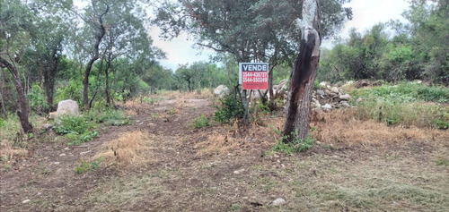 Imagen 11 de 19 de Lote En Venta De 1218m2 Ubicado En Villa De Las Rosas