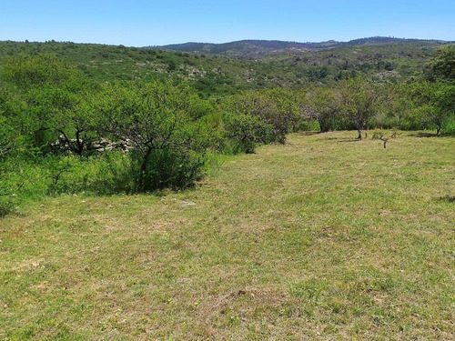 Campo En Venta  Ubicado En La Falda, Nueva Autovia