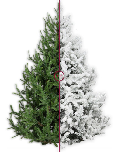 Imagen 4 de 10 de Sno-flock Nieve Artificial Que Se Pega Al Arbol De Navidad