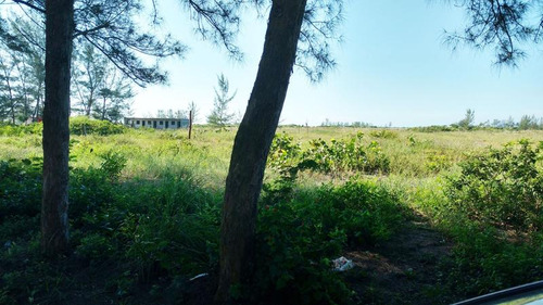Venta Lotes 400 M² Playa Sur Tamiahua Veracruz
