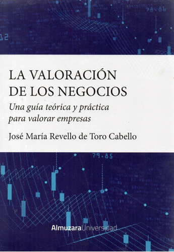 La Valoración De Los Negocios - Una Guía Teórica Y Práctica