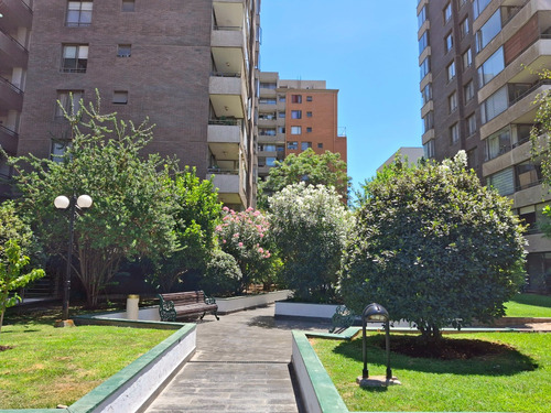 Acogedor Departamento Con Amplia Terraza, Ñuñoa