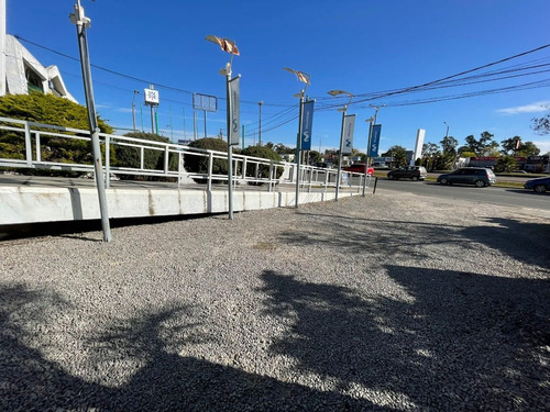 Imagen 3 de 17 de Local Comercial Lagomar Sobre Av Gianatassio Macari Vende