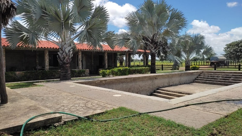 Imagen 5 de 8 de Venta De Espectacular Finca Productiva En Guárico - Inmobiliaria Maggi 1246