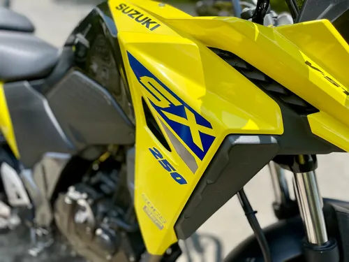 Vstrom 250sx