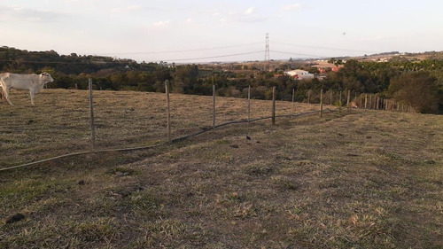 Imagem 12 de 13 de Chácara À Venda, 20000 M² Por R$ 700.000,00 - Benfica - Elias Fausto/sp - Ch0143